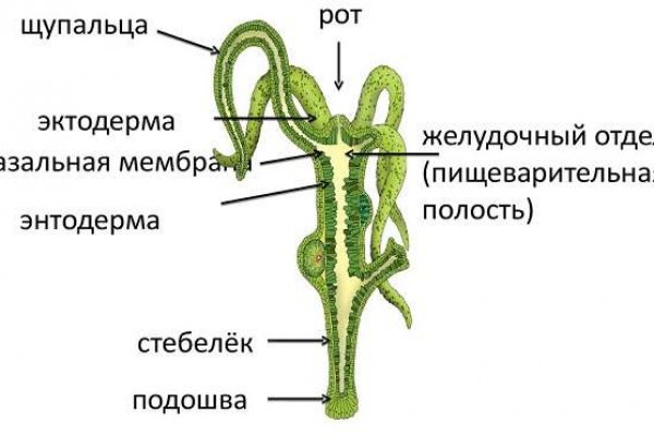 Тор браузер мега